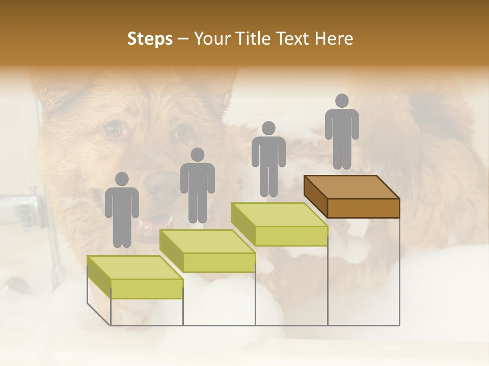 Taking Bath Water PowerPoint Template