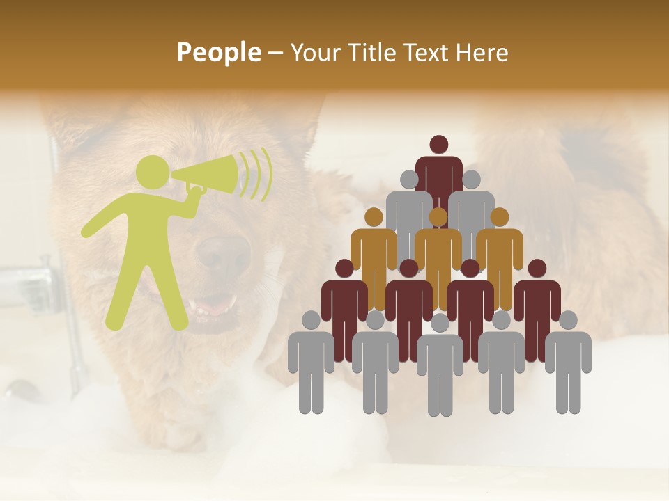 Taking Bath Water PowerPoint Template