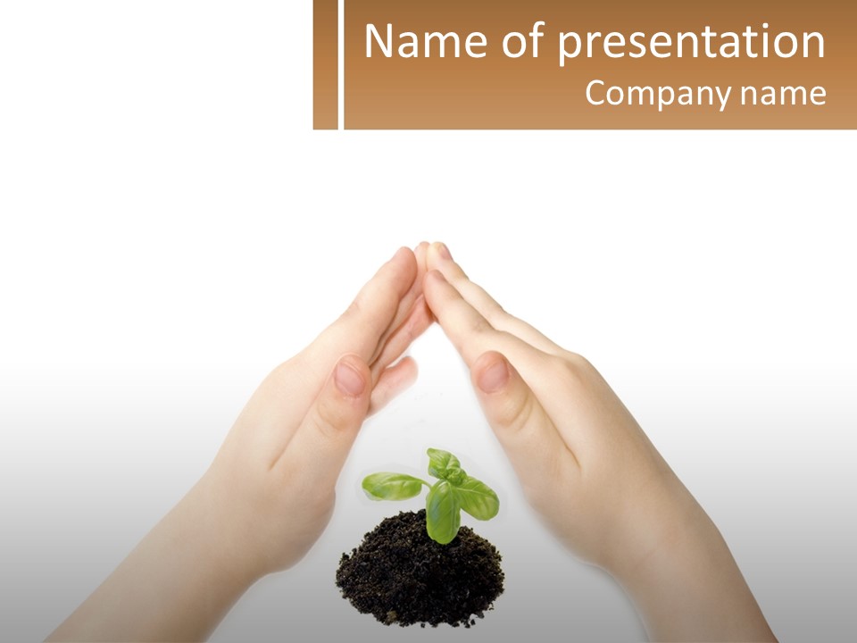 Plant Innocence Trust PowerPoint Template