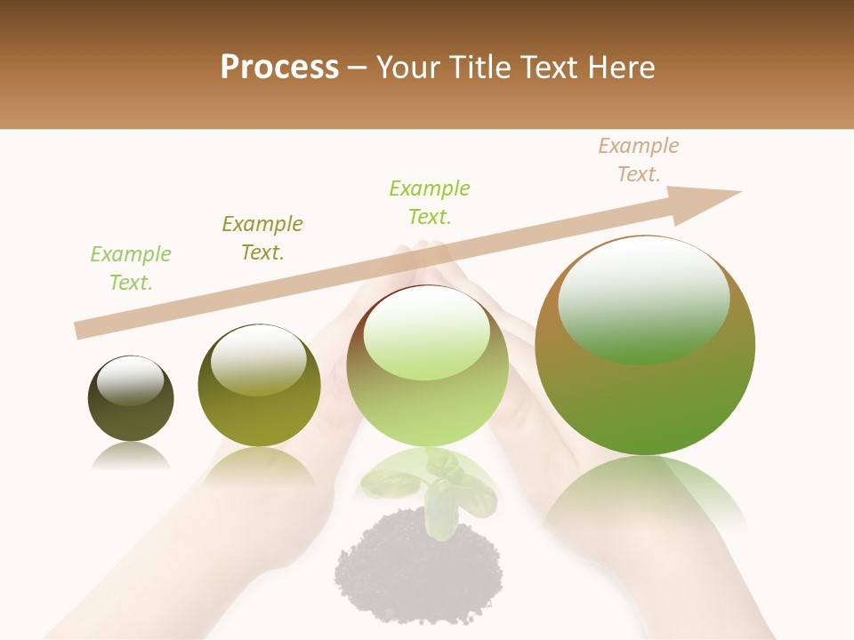 Plant Innocence Trust PowerPoint Template