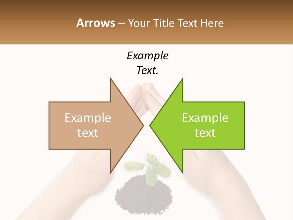 Plant Innocence Trust PowerPoint Template