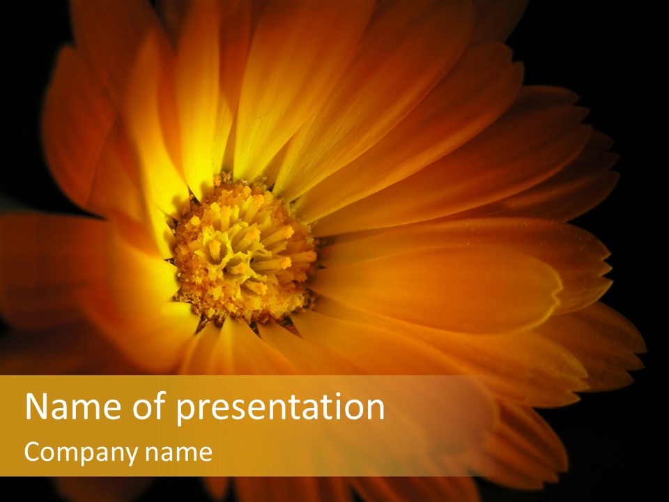 Isolated Idyllic Garden PowerPoint Template