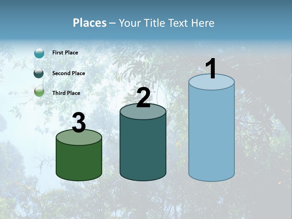 Shadow Rainforest Sun PowerPoint Template