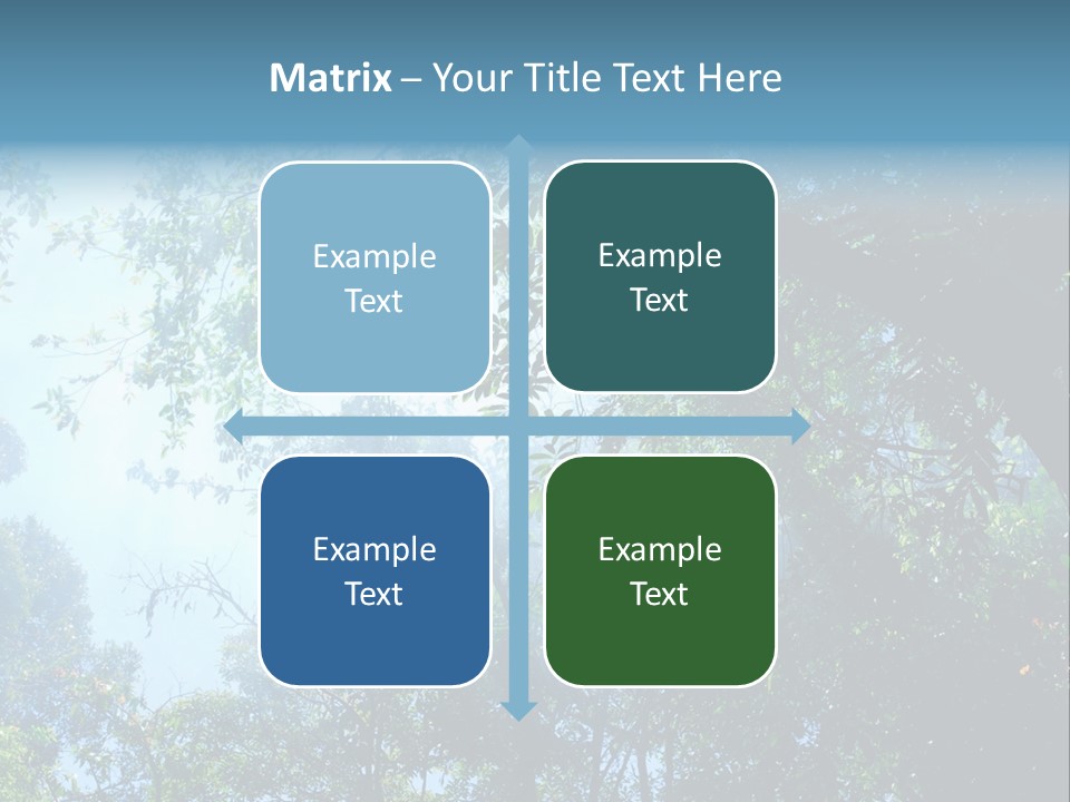 Shadow Rainforest Sun PowerPoint Template