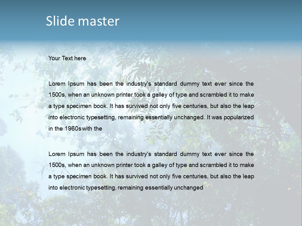 Shadow Rainforest Sun PowerPoint Template
