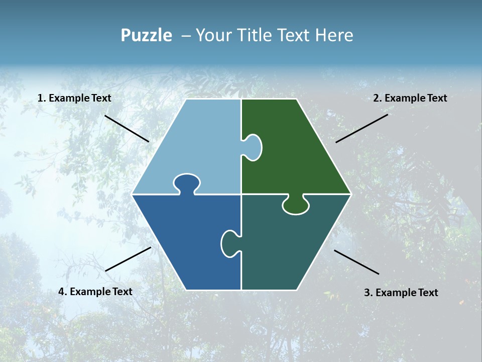 Shadow Rainforest Sun PowerPoint Template