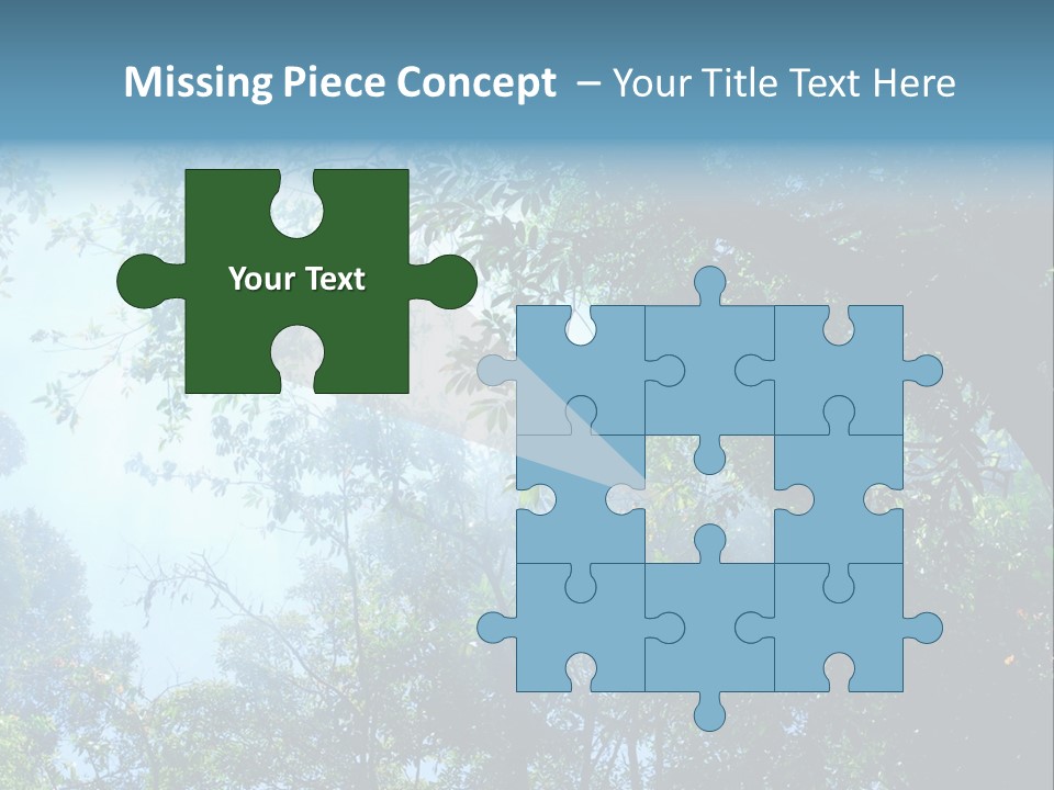 Shadow Rainforest Sun PowerPoint Template