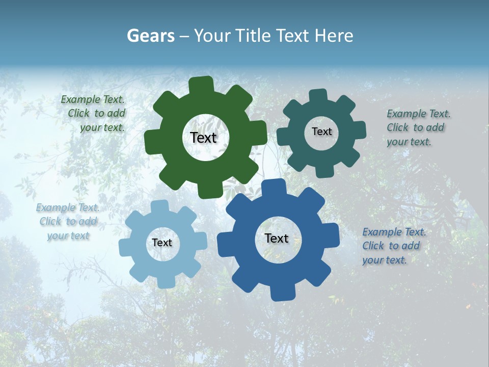 Shadow Rainforest Sun PowerPoint Template