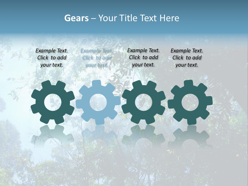 Shadow Rainforest Sun PowerPoint Template