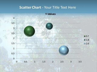 Shadow Rainforest Sun PowerPoint Template