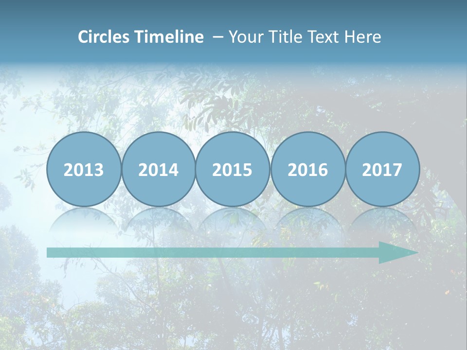 Shadow Rainforest Sun PowerPoint Template