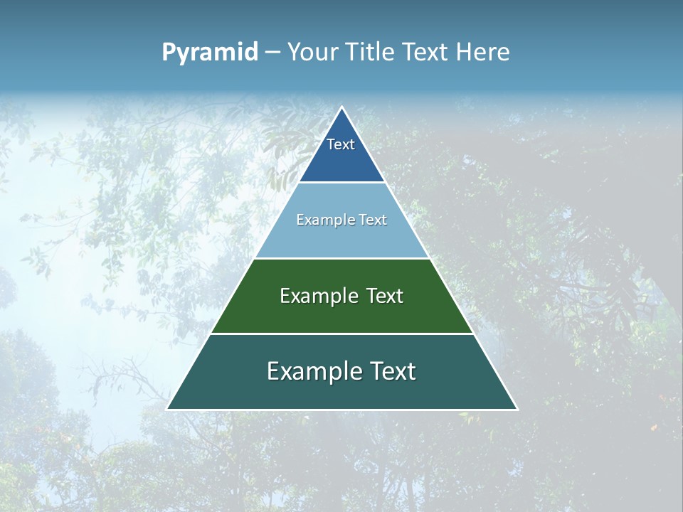 Shadow Rainforest Sun PowerPoint Template