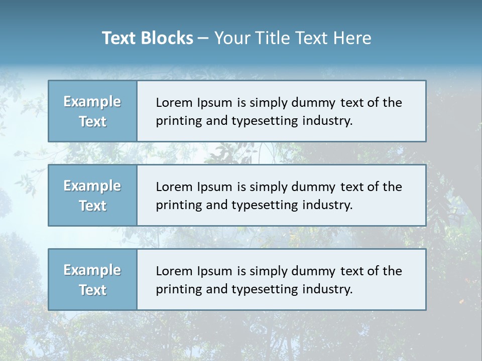 Shadow Rainforest Sun PowerPoint Template