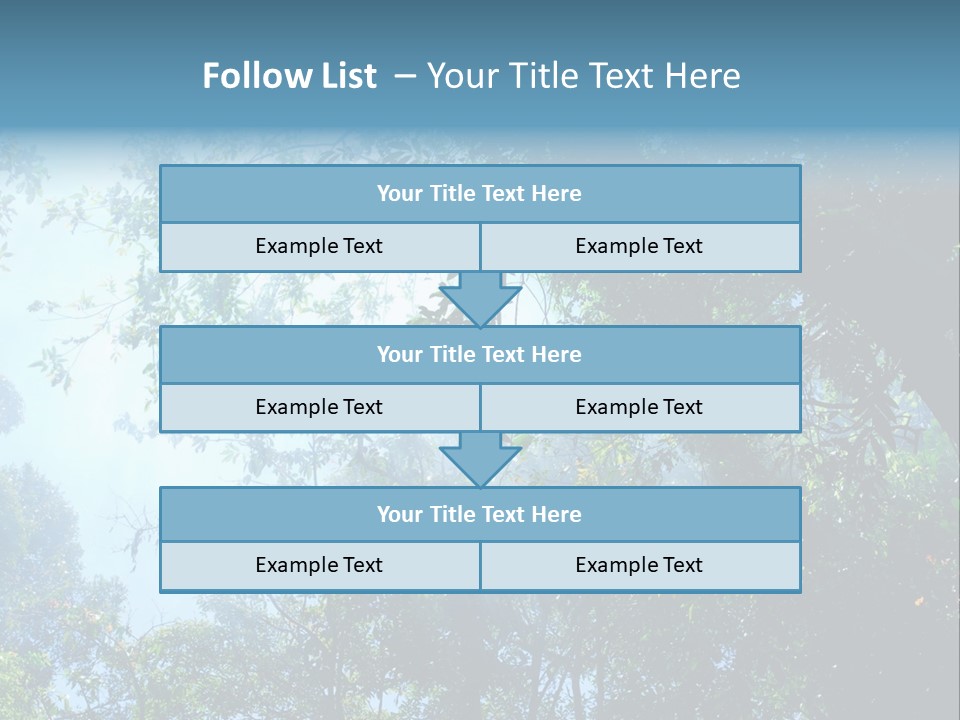 Shadow Rainforest Sun PowerPoint Template