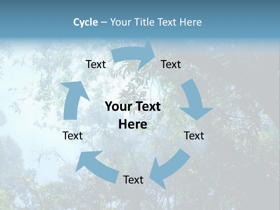 Shadow Rainforest Sun PowerPoint Template