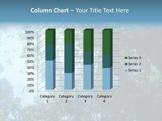 Shadow Rainforest Sun PowerPoint Template