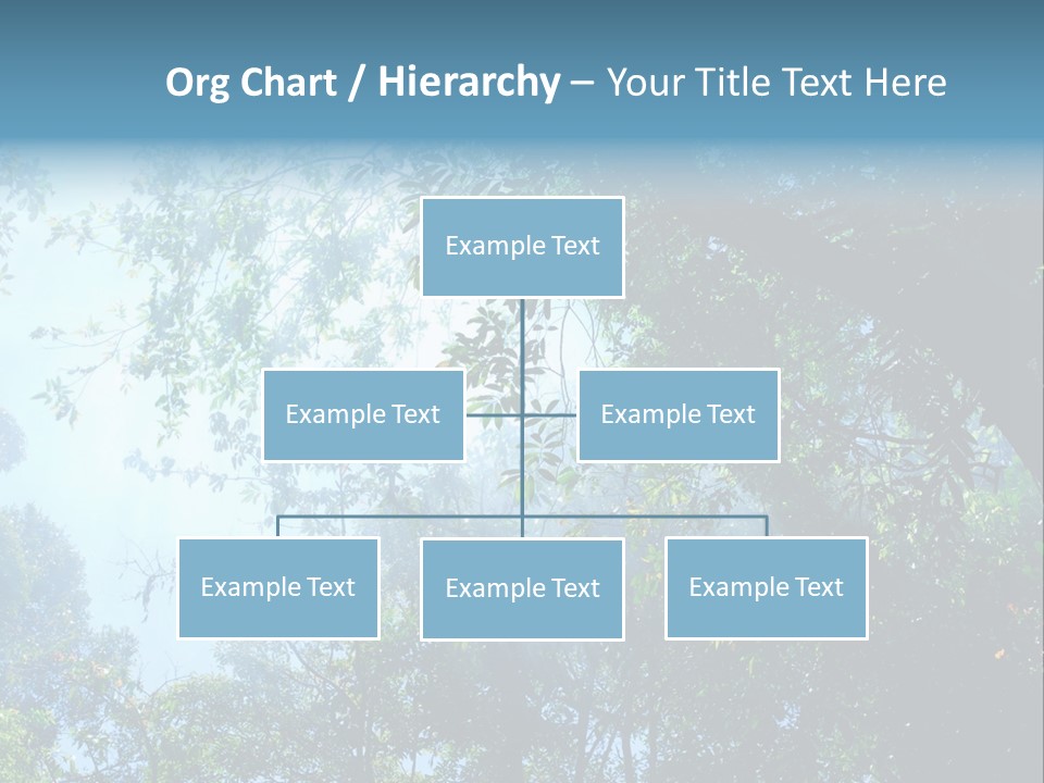 Shadow Rainforest Sun PowerPoint Template