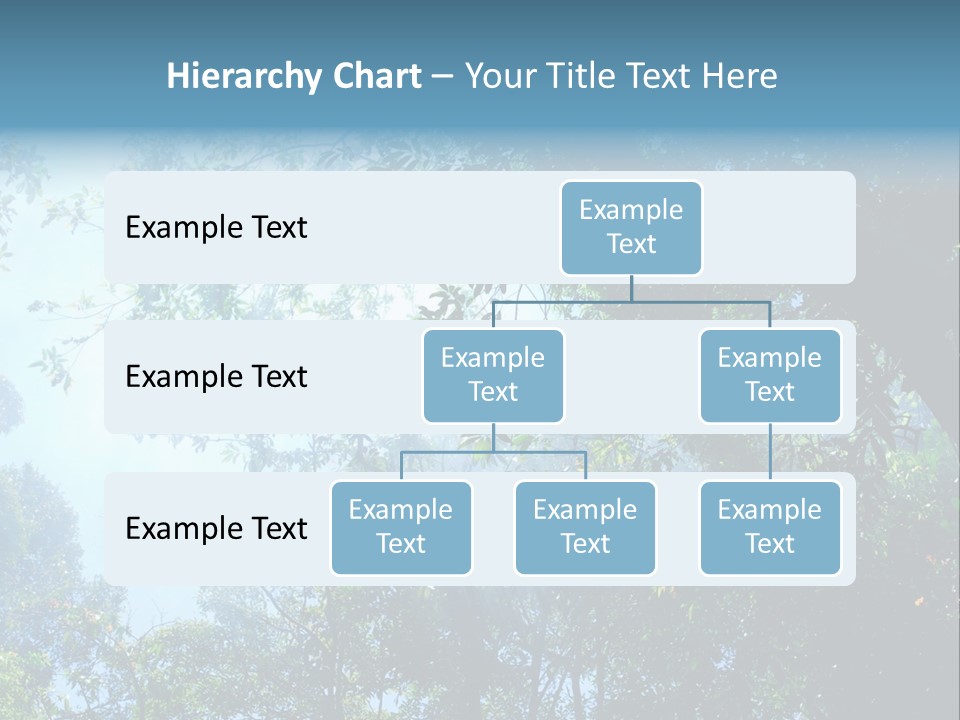Shadow Rainforest Sun PowerPoint Template