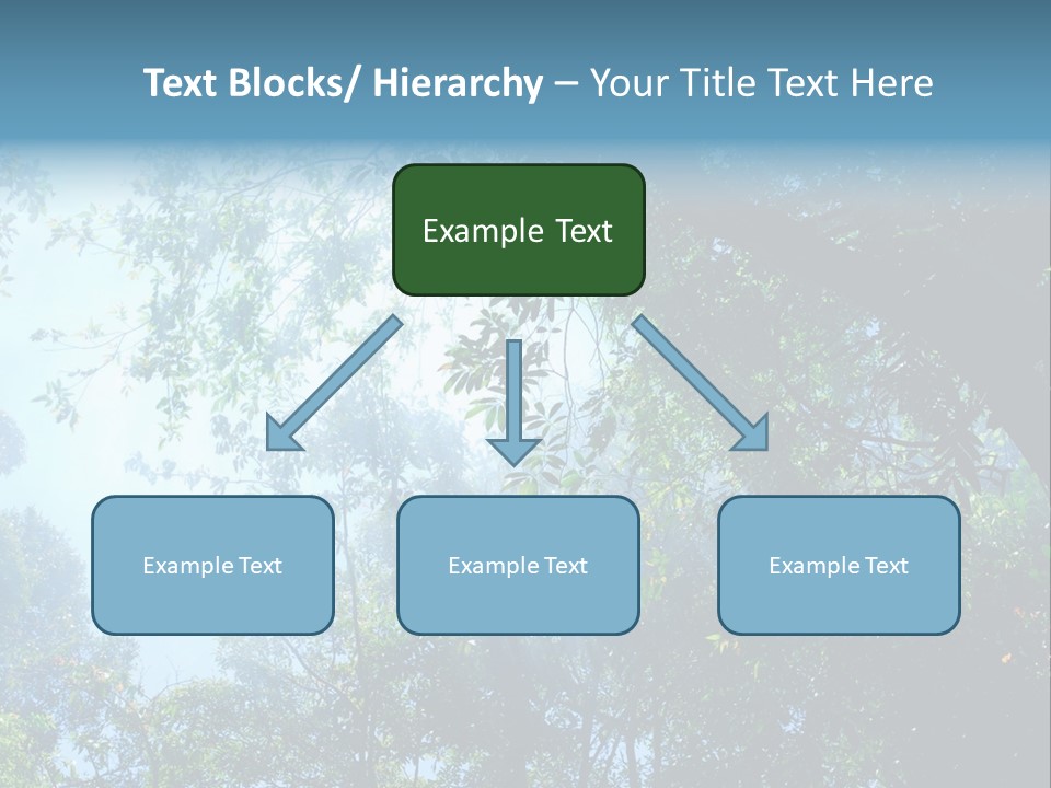Shadow Rainforest Sun PowerPoint Template