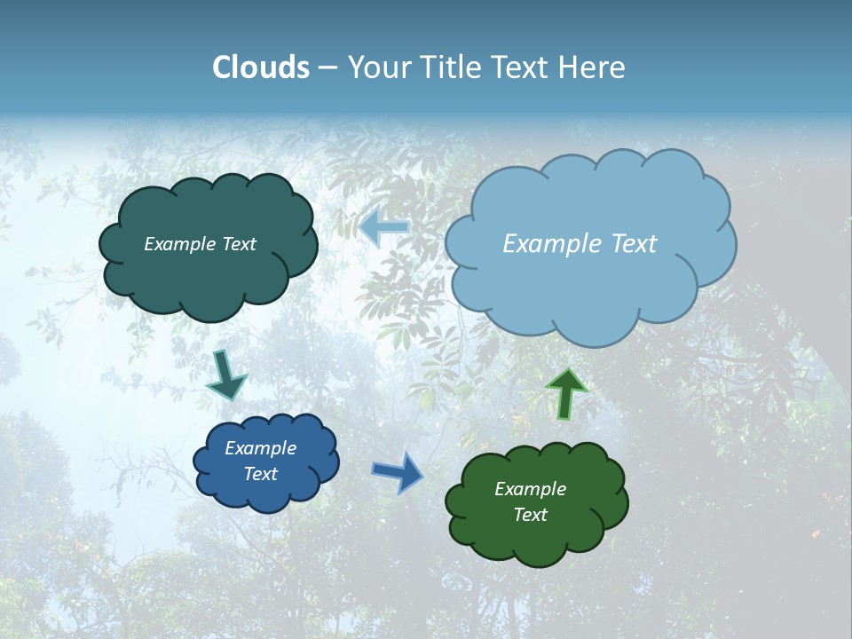 Shadow Rainforest Sun PowerPoint Template