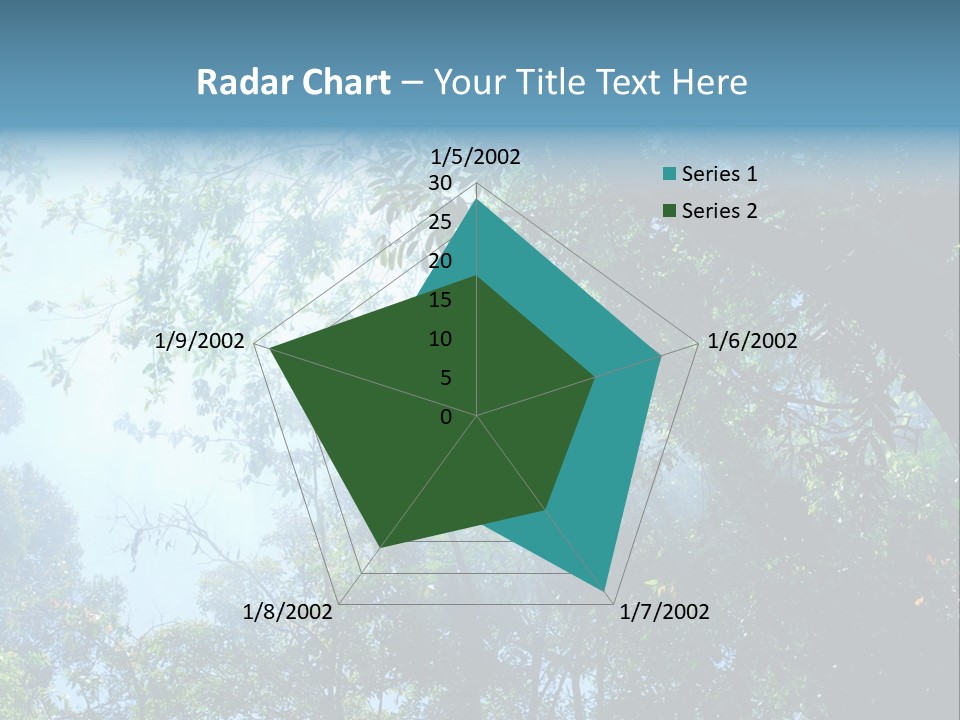 Shadow Rainforest Sun PowerPoint Template