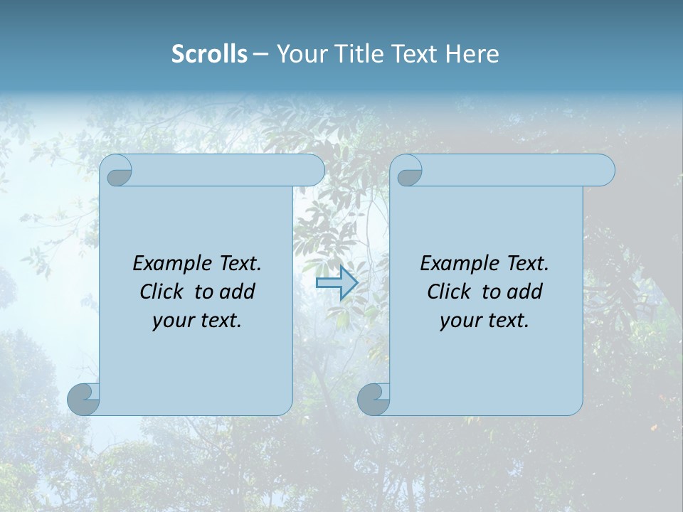 Shadow Rainforest Sun PowerPoint Template