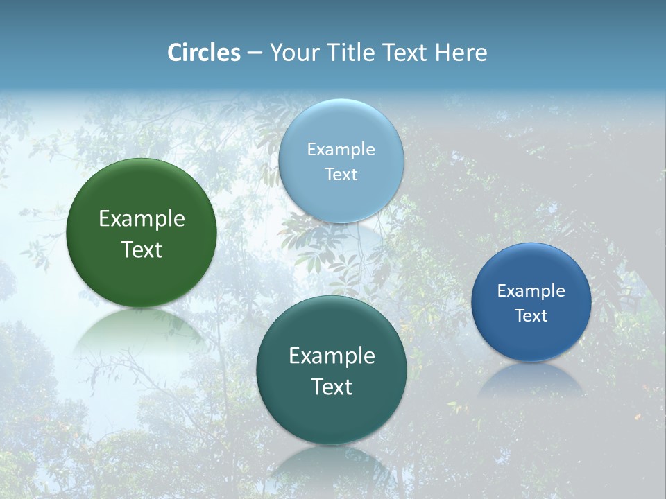 Shadow Rainforest Sun PowerPoint Template