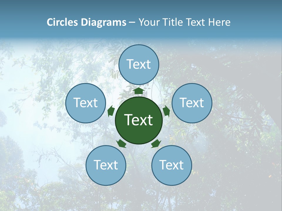 Shadow Rainforest Sun PowerPoint Template