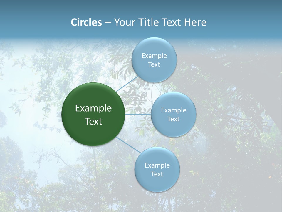 Shadow Rainforest Sun PowerPoint Template