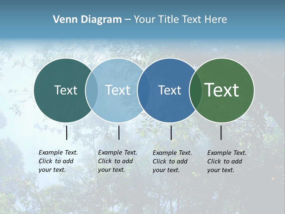 Shadow Rainforest Sun PowerPoint Template