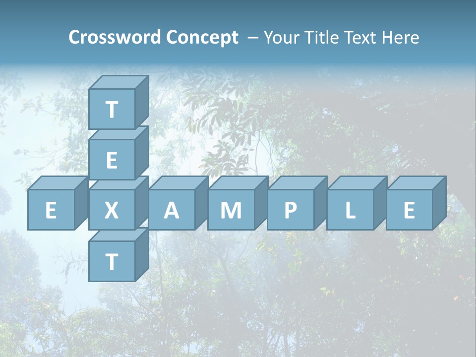 Shadow Rainforest Sun PowerPoint Template