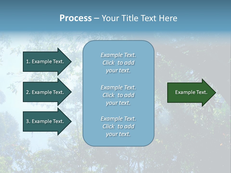 Shadow Rainforest Sun PowerPoint Template