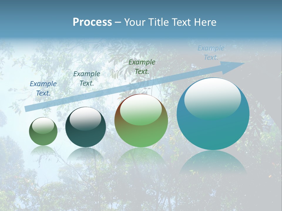 Shadow Rainforest Sun PowerPoint Template