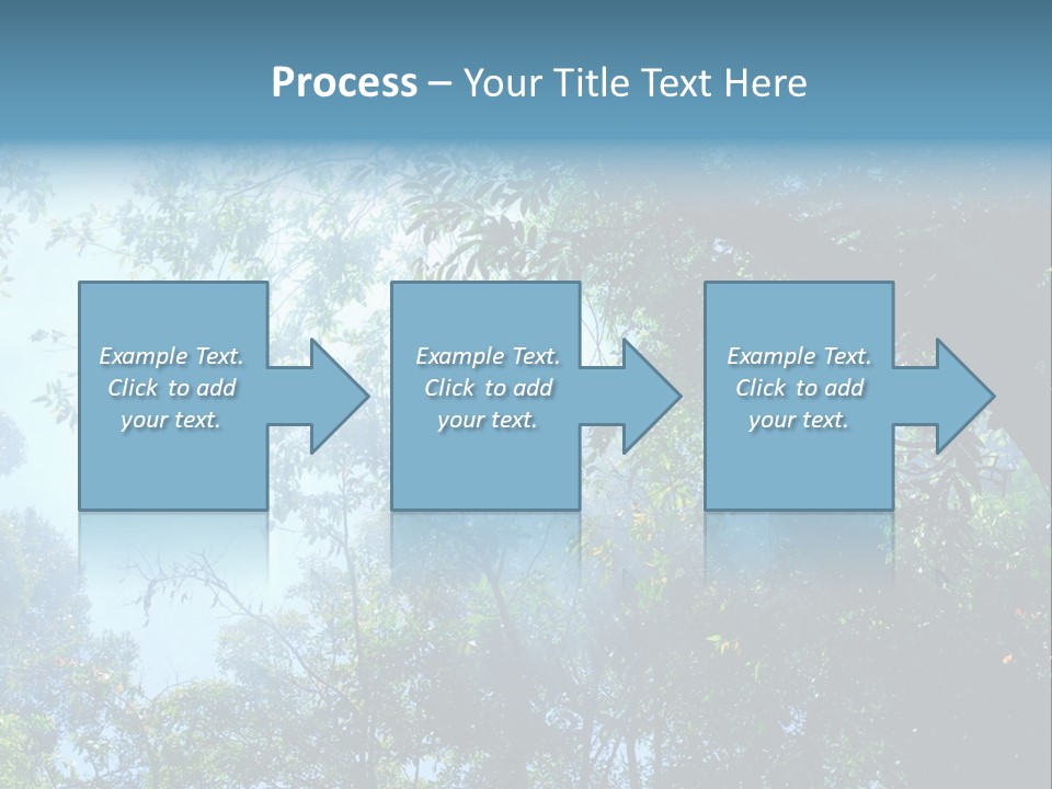 Shadow Rainforest Sun PowerPoint Template