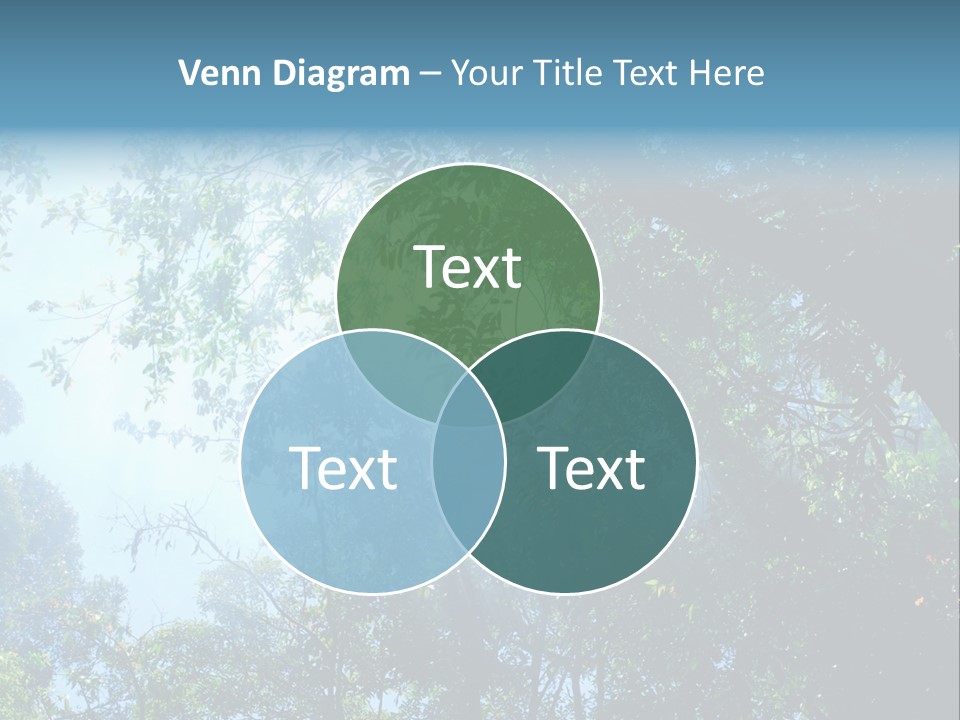 Shadow Rainforest Sun PowerPoint Template