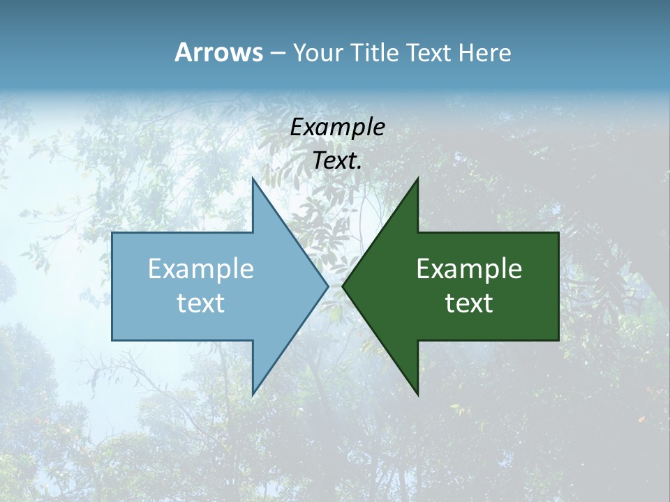 Shadow Rainforest Sun PowerPoint Template