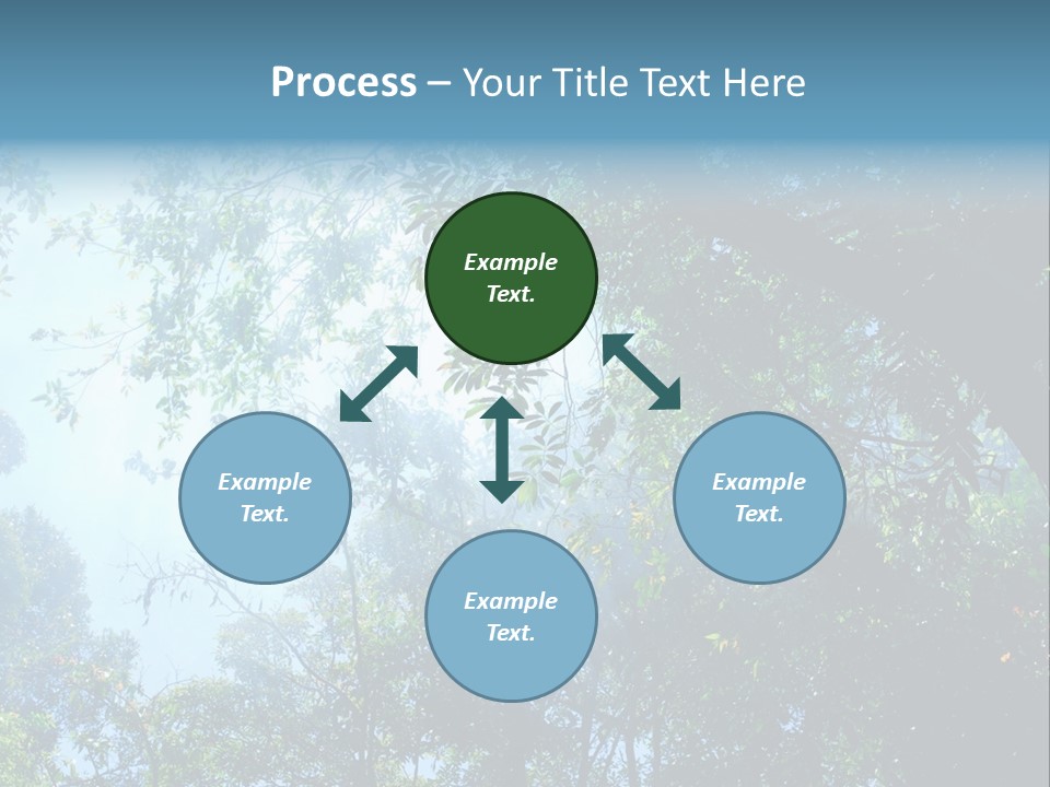 Shadow Rainforest Sun PowerPoint Template