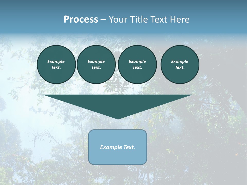Shadow Rainforest Sun PowerPoint Template
