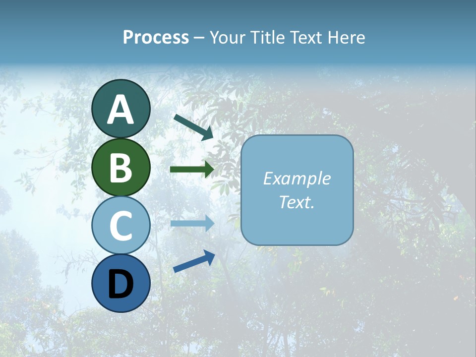 Shadow Rainforest Sun PowerPoint Template