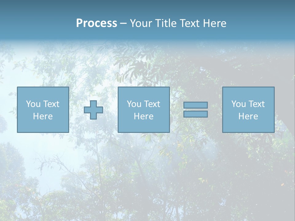 Shadow Rainforest Sun PowerPoint Template
