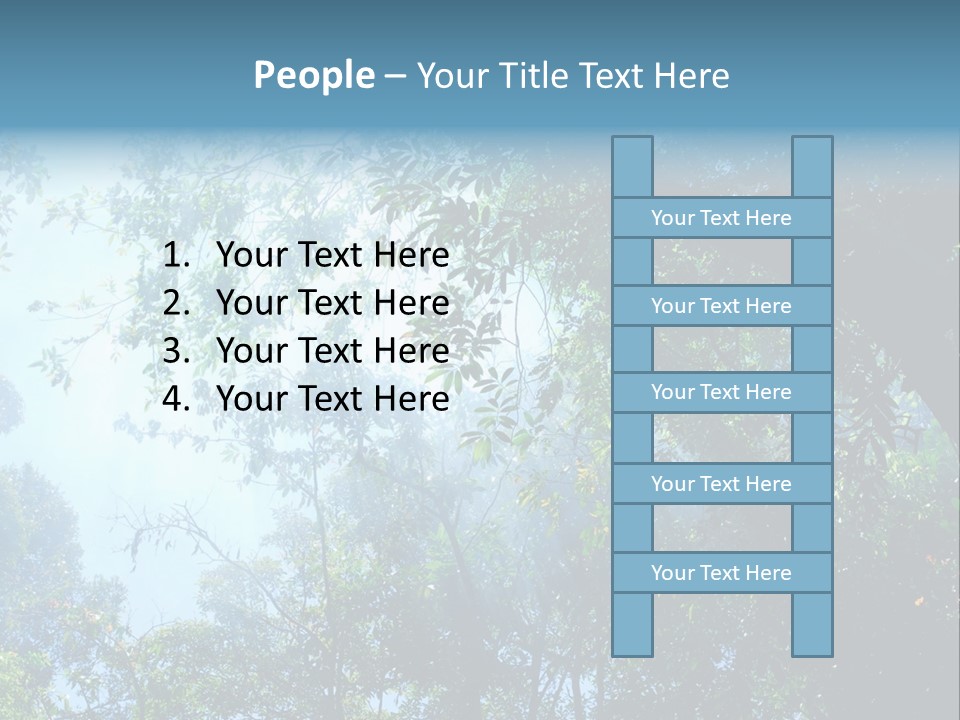 Shadow Rainforest Sun PowerPoint Template