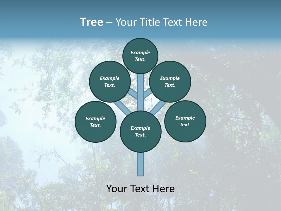 Shadow Rainforest Sun PowerPoint Template