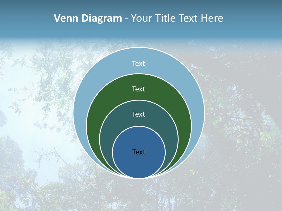 Shadow Rainforest Sun PowerPoint Template