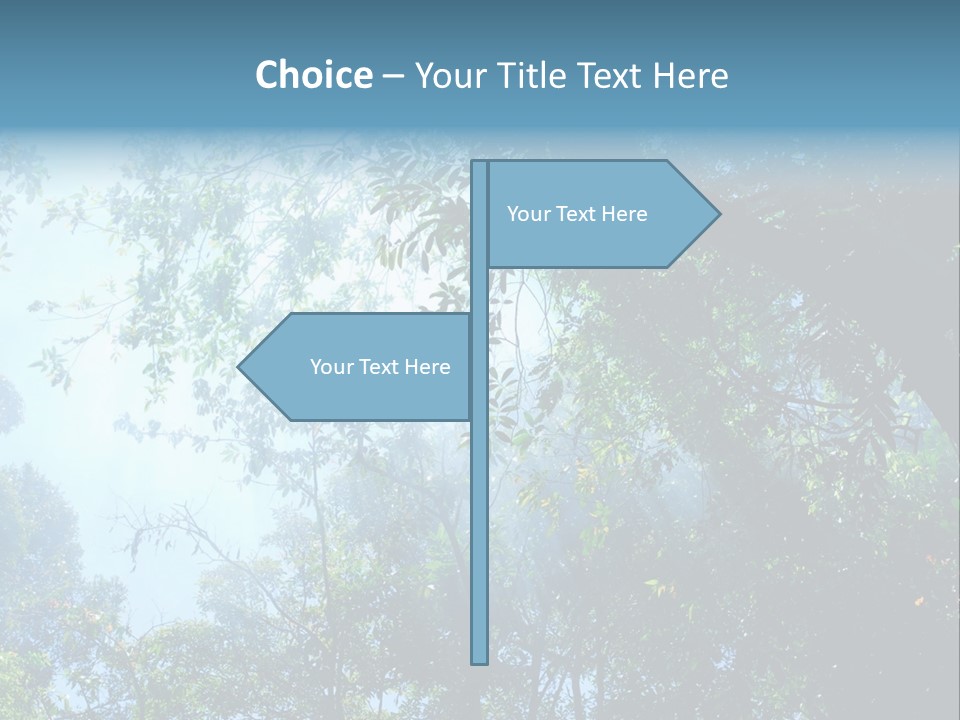 Shadow Rainforest Sun PowerPoint Template