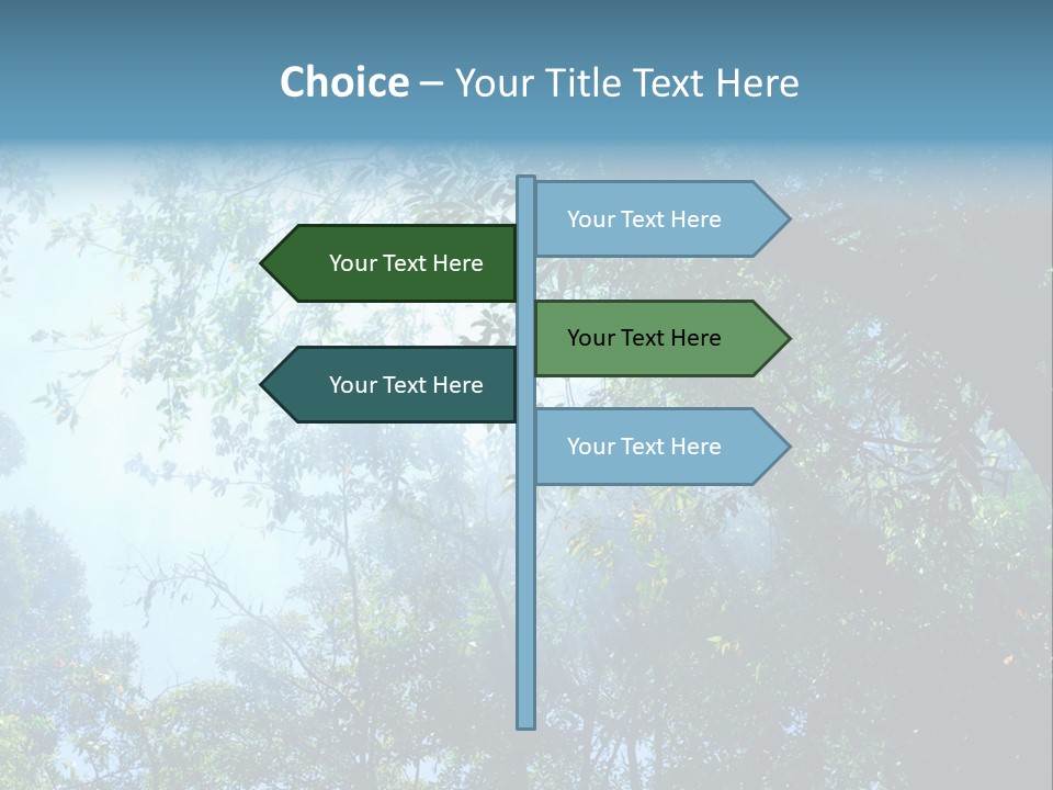 Shadow Rainforest Sun PowerPoint Template