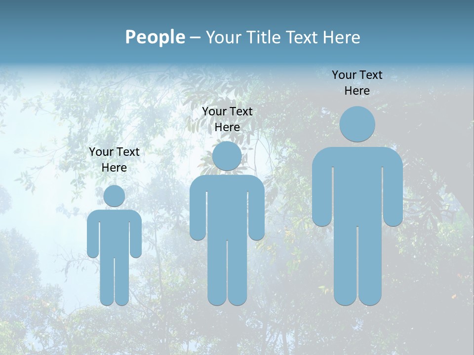Shadow Rainforest Sun PowerPoint Template