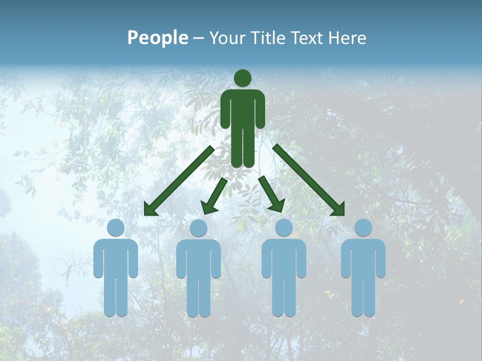 Shadow Rainforest Sun PowerPoint Template