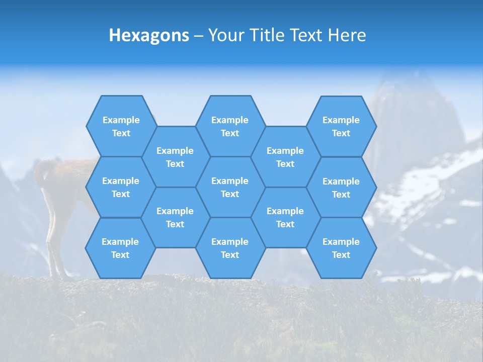 Wild Rock Wildlife PowerPoint Template