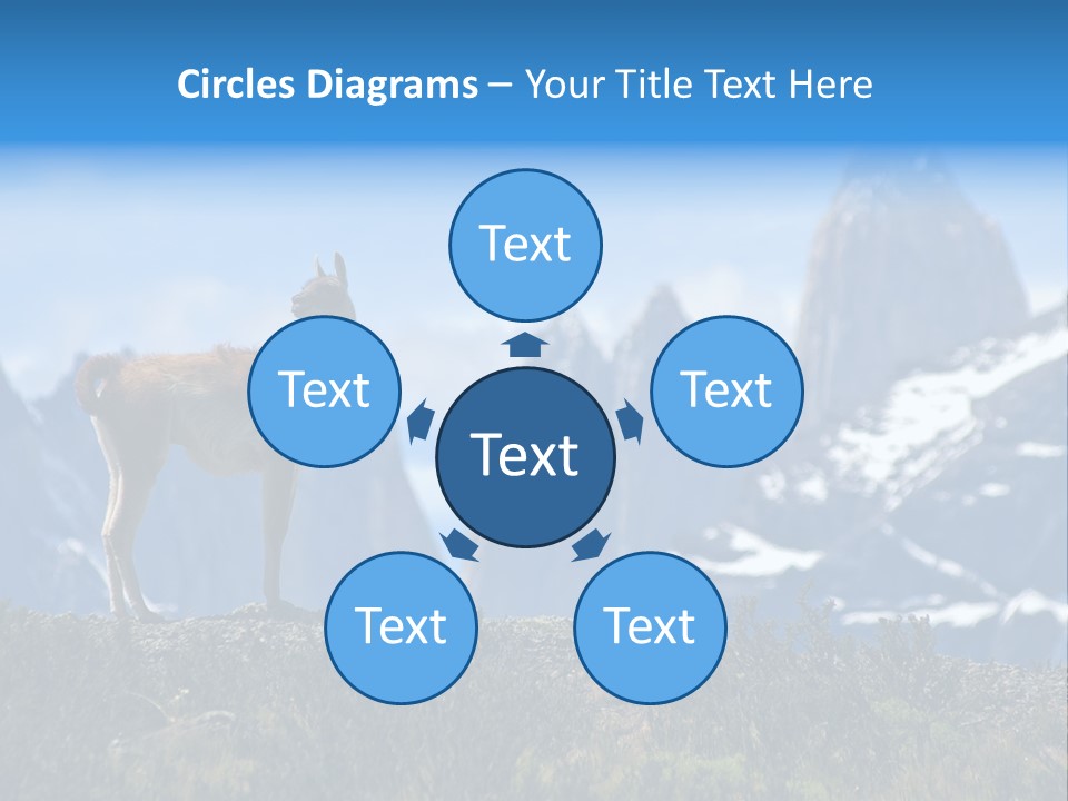 Wild Rock Wildlife PowerPoint Template