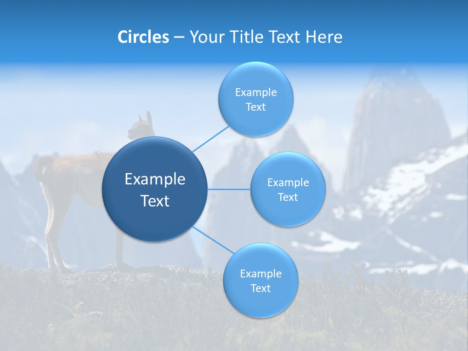 Wild Rock Wildlife PowerPoint Template